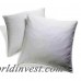Alwyn Home Indoor Cotton Pillow Insert ANEW2423
